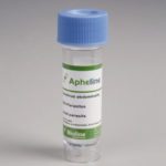 Apheline