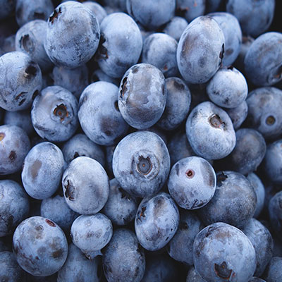 Biocontrol and Integrated Crop Management products for your blueberries crop