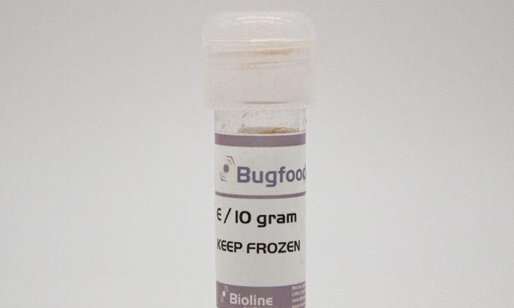 Bugfood vial